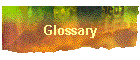 Glossary